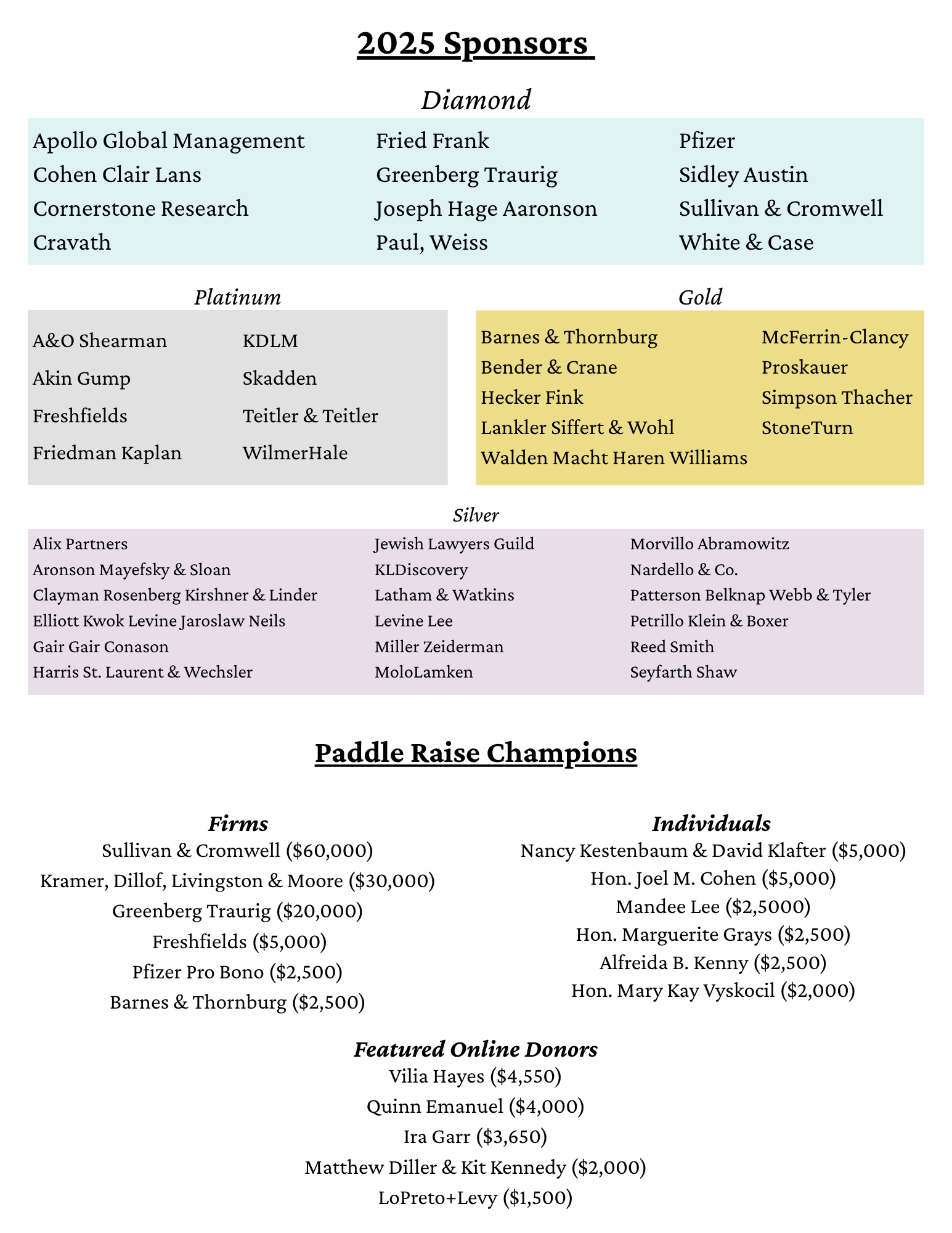 DRAFT 2025 Thank You Paddle Raise DRAFT 2025 Thank You Paddle Raise